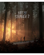 Life is Strange 2 Коллекционное издание (PS4)